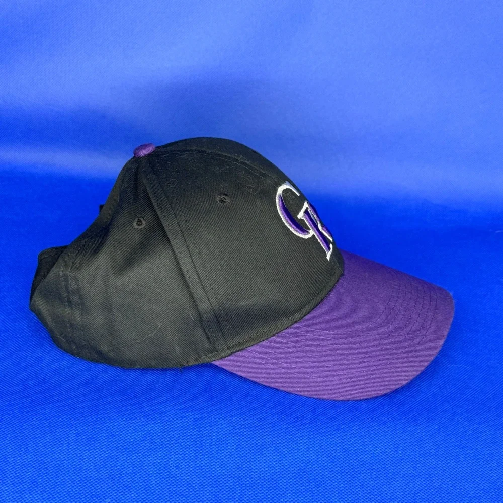Colorado Rockies NEW Hat Embroidered Adjustable Baseball Cap MLB Denver Gorpcore